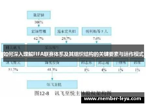 如何深入理解FIFA联赛体系及其组织结构的关键要素与运作模式