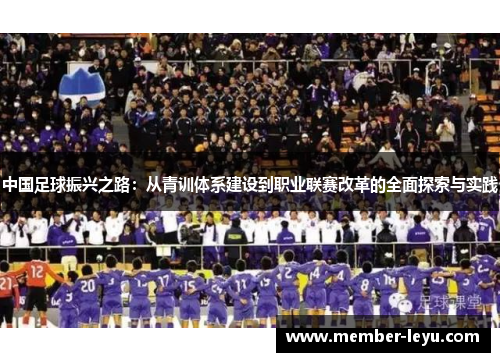 中国足球振兴之路：从青训体系建设到职业联赛改革的全面探索与实践
