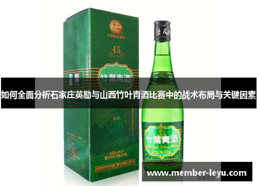 如何全面分析石家庄英励与山西竹叶青酒比赛中的战术布局与关键因素