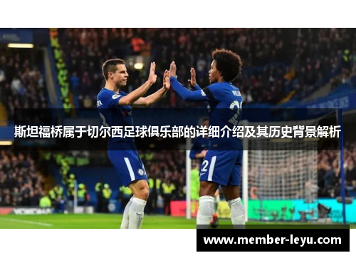 斯坦福桥属于切尔西足球俱乐部的详细介绍及其历史背景解析
