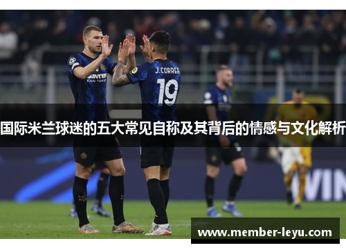 国际米兰球迷的五大常见自称及其背后的情感与文化解析