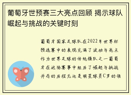 葡萄牙世预赛三大亮点回顾 揭示球队崛起与挑战的关键时刻
