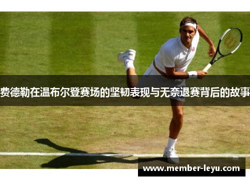 费德勒在温布尔登赛场的坚韧表现与无奈退赛背后的故事