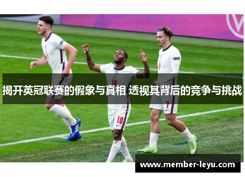 揭开英冠联赛的假象与真相 透视其背后的竞争与挑战