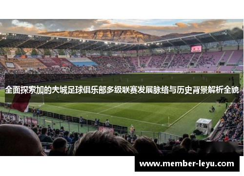 全面探索加的夫城足球俱乐部多级联赛发展脉络与历史背景解析全貌 全面探索加的夫城足球俱乐部多级联赛发展脉络与历史背景解析全貌