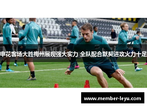 申花客场大胜梅州展现强大实力 全队配合默契进攻火力十足