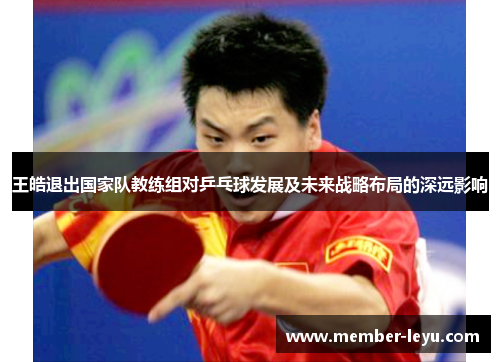王皓退出国家队教练组对乒乓球发展及未来战略布局的深远影响